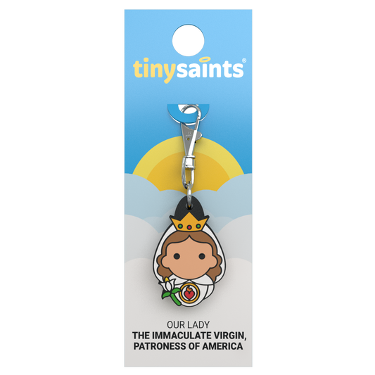 Our Lady the Immaculate Virgin, Patroness of America
