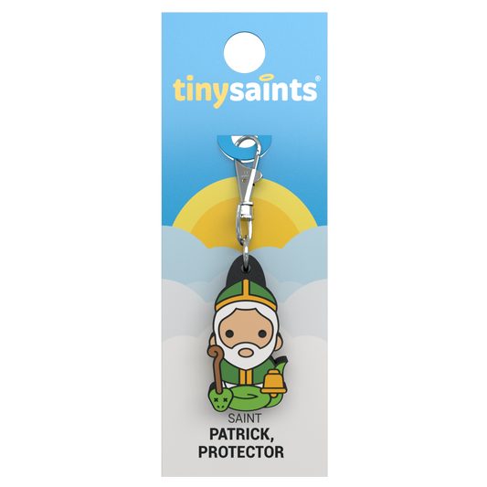 Saint Patrick, Protector