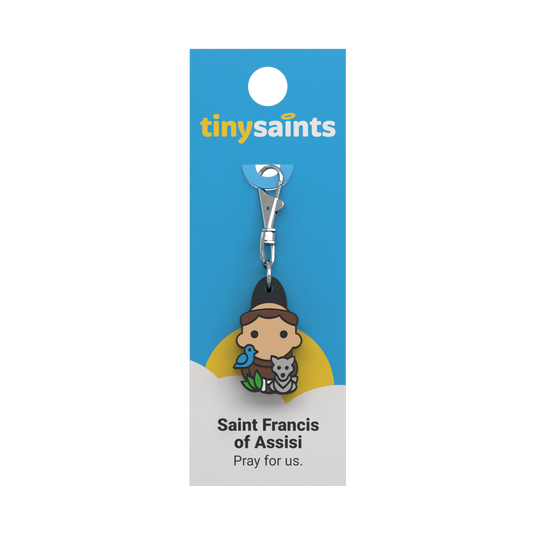 Saint Francis of Assisi