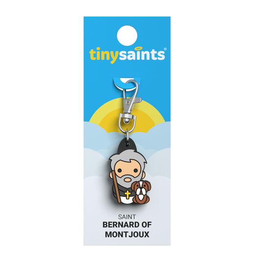 Saint Bernard of Montjoux