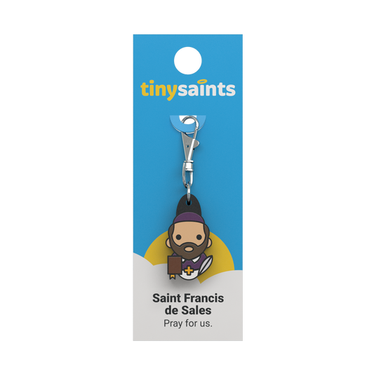 Saint Francis De Sales